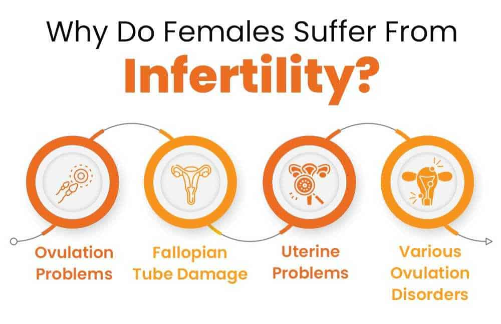 Common female infertility factors illustrated as ovulation problems, fallopian tube damage, uterine problems and ovulation disorders