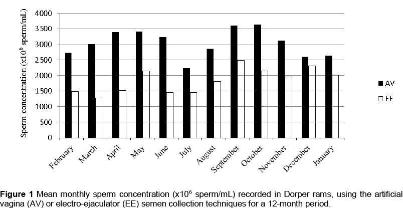 Can There Be Seasonal Sperms?