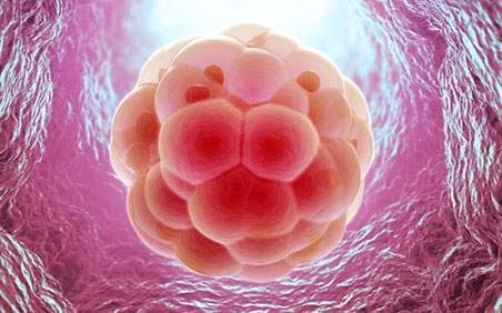 Common Ovulation Disorders