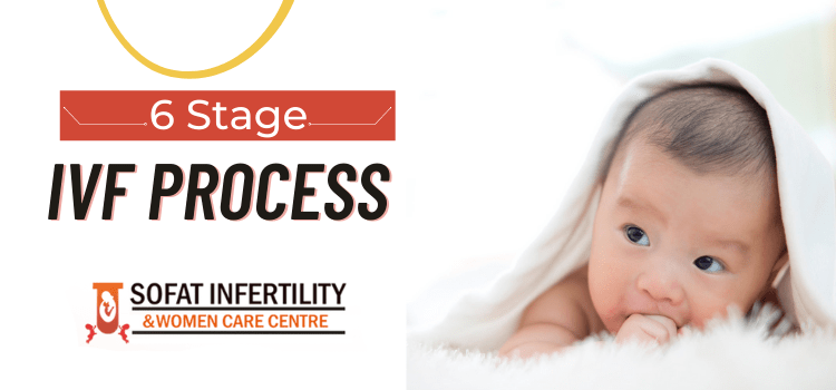 6 Important stages in the IVF Process: That You Must Know Much Before