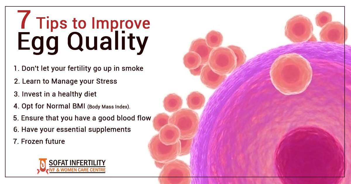 Top 7 Ways to Improve Egg Quality