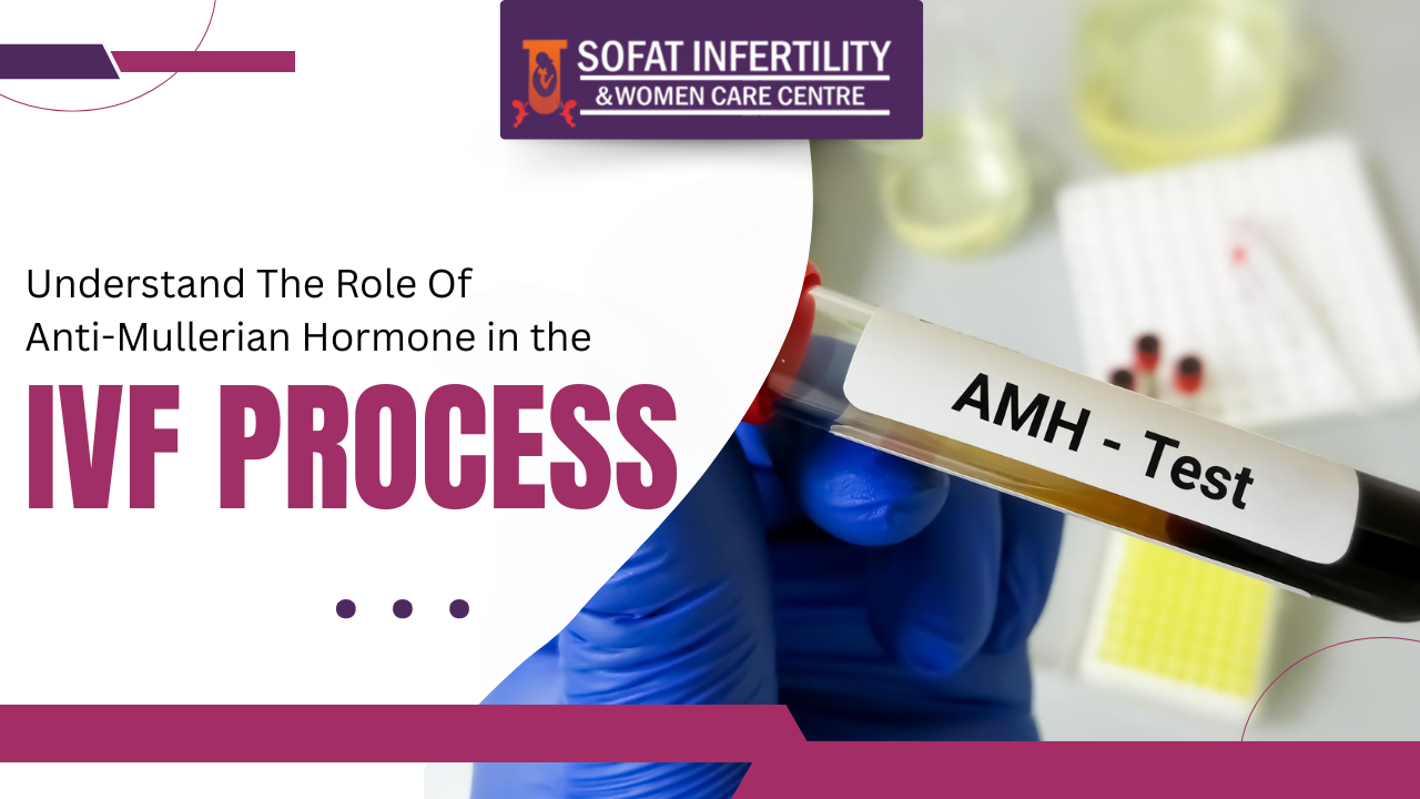 Understand The Role Of Anti-Mullerian Hormone in the IVF Process