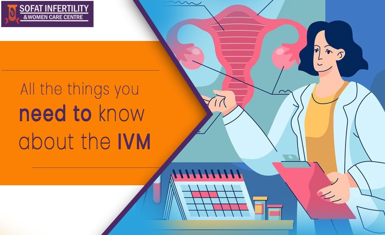 All the things you need to know about the IVM.