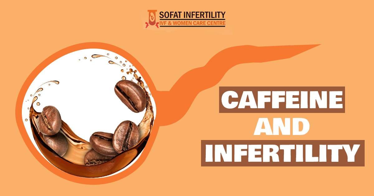 What is the relation between caffeine and fertility in both Male & Female?