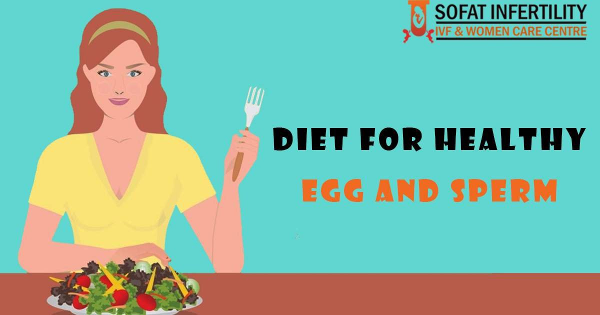 Diet For Healthy Egg And Sperm