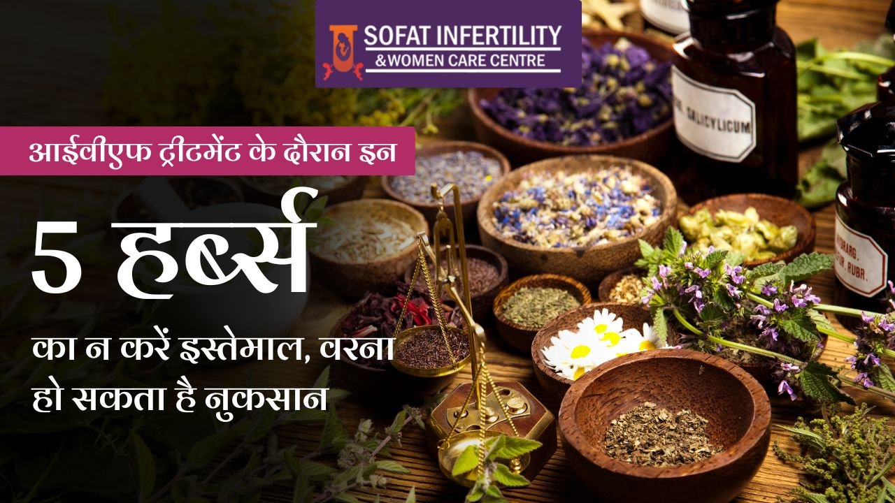 आईवीएफ ट्रीटमेंट के दौरान इन 5 हर्ब्स का न करें इस्तेमाल, वरना हो सकता है नुकसान