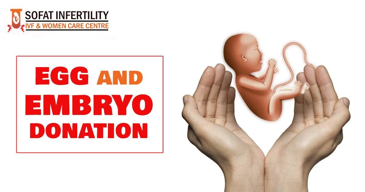 Explain in detail how the procedure of egg and embryo donation work?