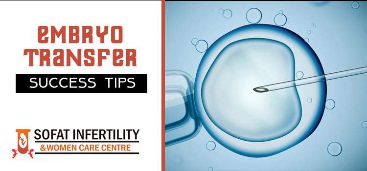 Embryo Transfer: Top professional tips for the success of embryo transfer