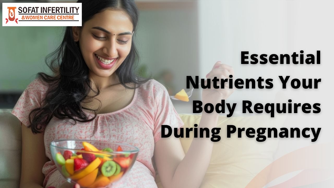 Essential Nutrients Your Body Requires During Pregnancy