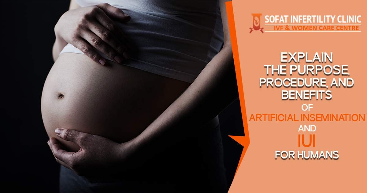 Explain the purpose, procedure, and benefits of Artificial Insemination and IUI for Humans?