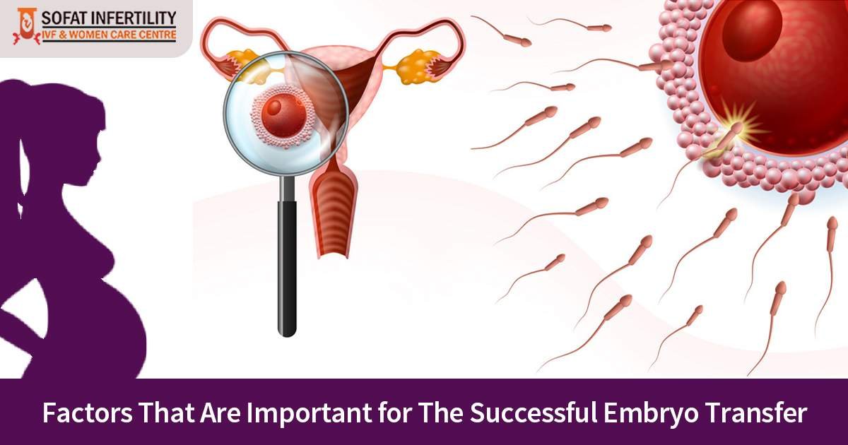 Factors that play an important role in the success of embryo transfer after in-vitro fertilization
