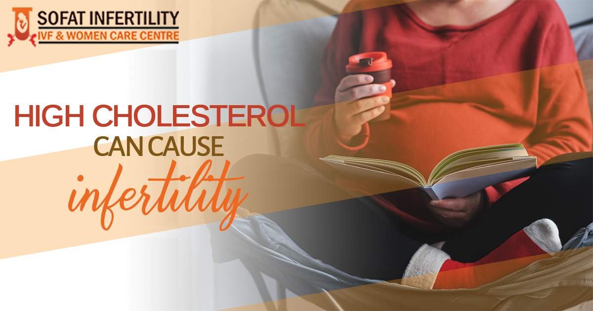 High cholesterol and infertility: What is the connection between both these factors?