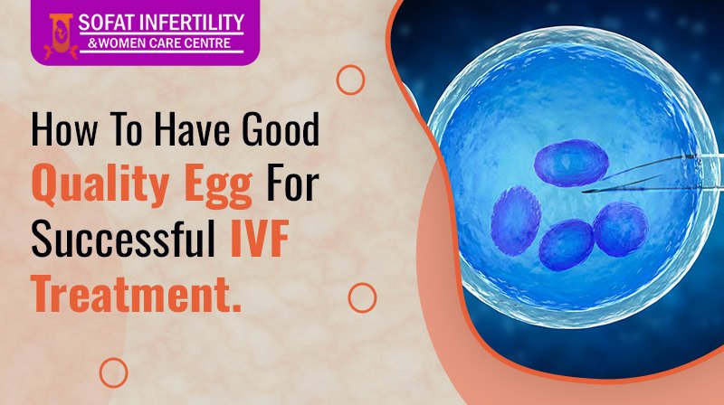 How To Have Good Quality Egg For Successful IVF Treatment