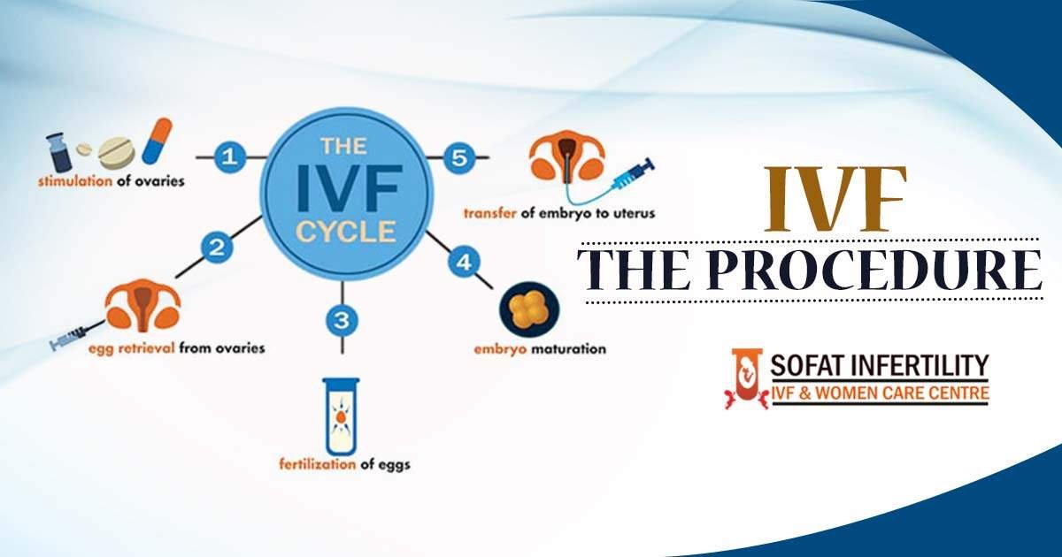 IVF: What are the different steps involved in the treatment of IVF for getting pregnant?