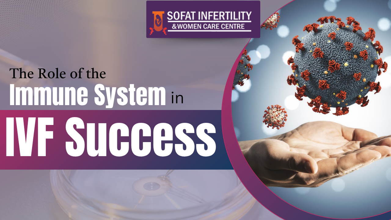 The Role of the Immune System in IVF Success