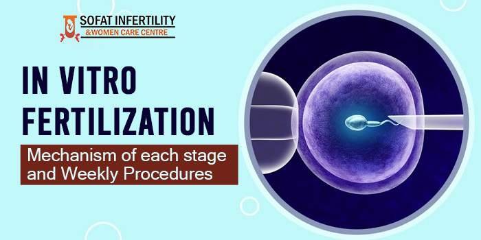 IVF Pregnancy Week By Week: Symptoms And Safety