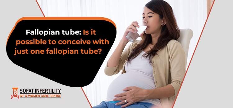 Is it Possible to Conceive with Just One Fallopian Tube?