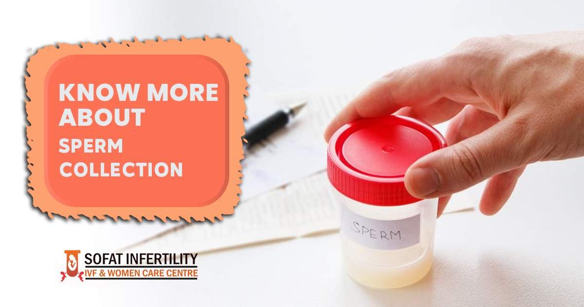 Everything you need to know about the process of collecting sperm
