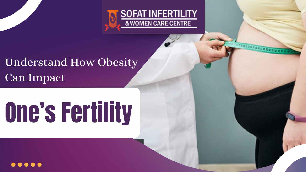 Understand How Obesity Can Impact One’s Fertility