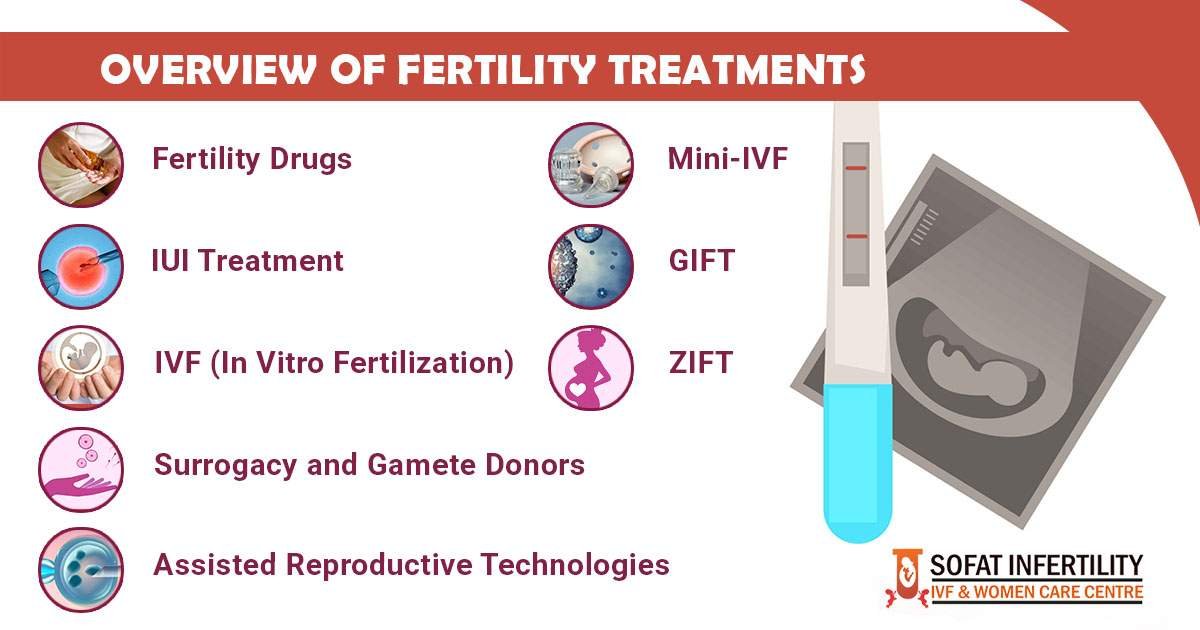 Overview of Fertility Treatments: Dr. Sumita Sofat