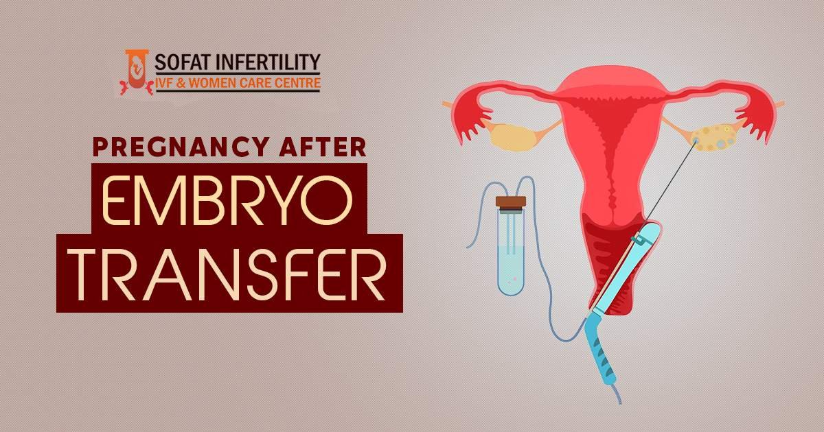 Pregnancy Test After IVF Embryo Transfer: What to Expect?