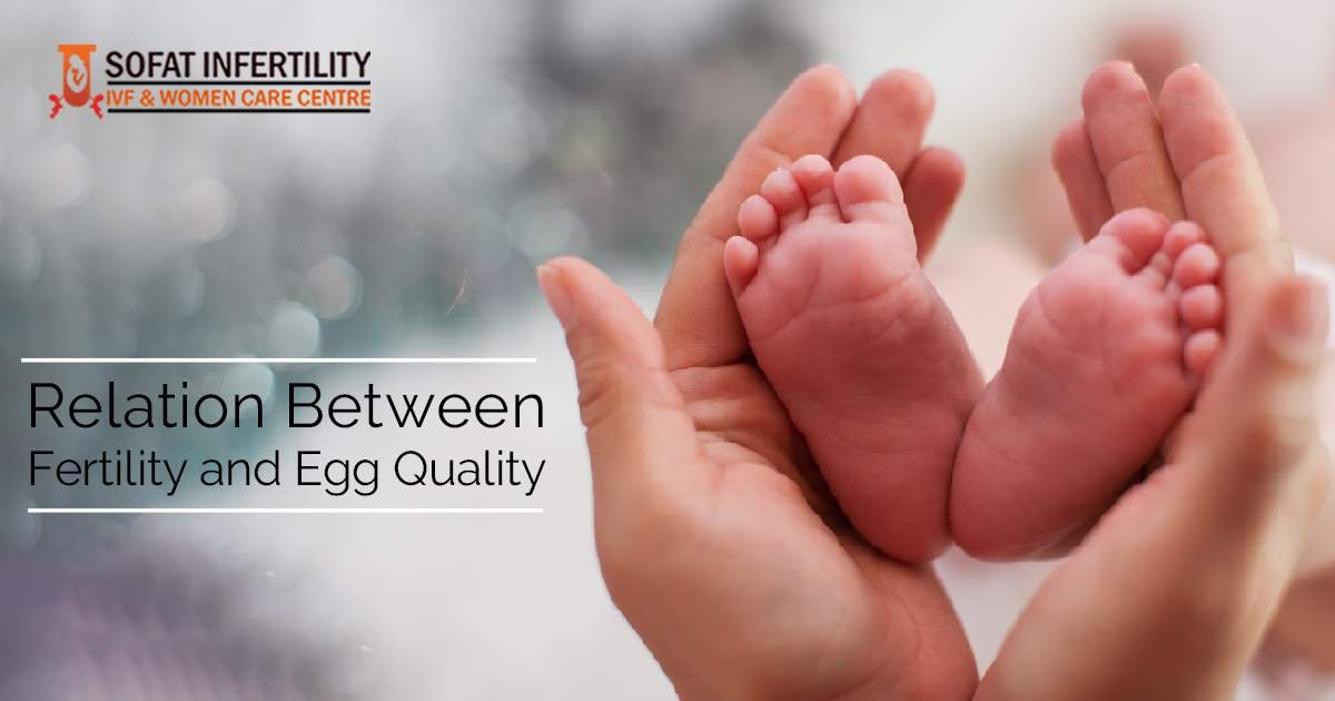 IVF: What is the actual relation between fertility and egg quality?