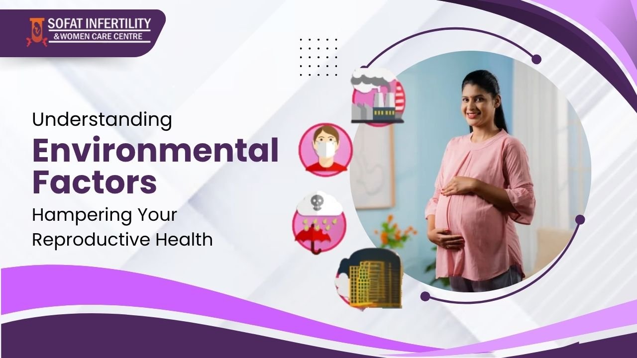 Understanding Environmental Factors Hampering Your Reproductive Health