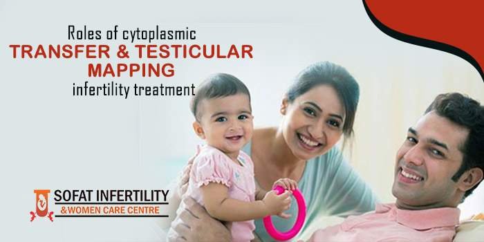 Roles of cytoplasmic transfer & testicular mapping infertility treatment