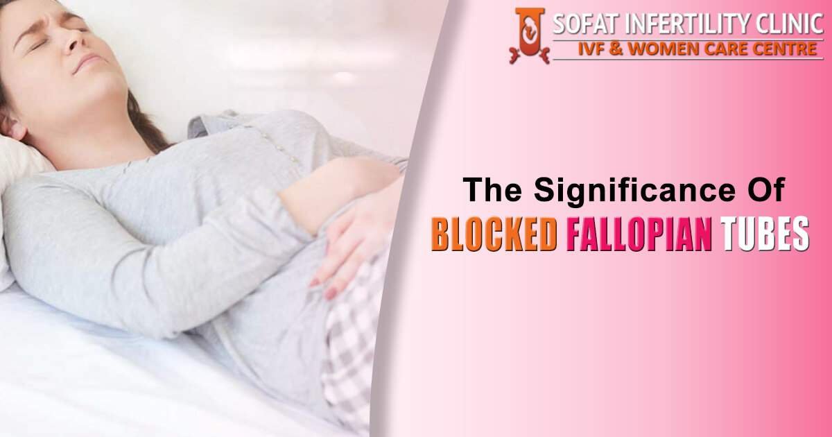 significance of Fallopian Tubes & What are yours conceiving in case blocked?