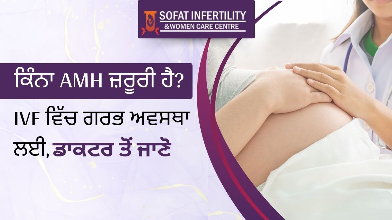 ਕਿੰਨਾ AMH ਜ਼ਰੂਰੀ ਹੈ? IVF ਵਿੱਚ ਗਰਭ ਅਵਸਥਾ ਲਈ, ਡਾਕਟਰ ਤੋਂ ਜਾਣੋ।