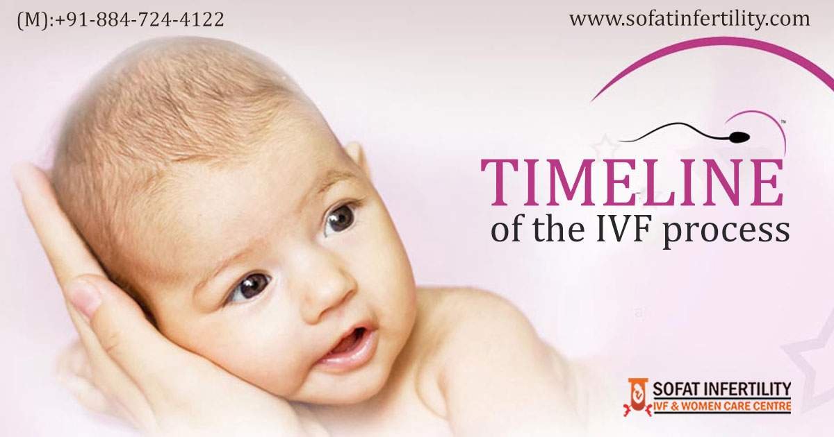 IVF Treatment: What are the different steps involved in the process of IVF?