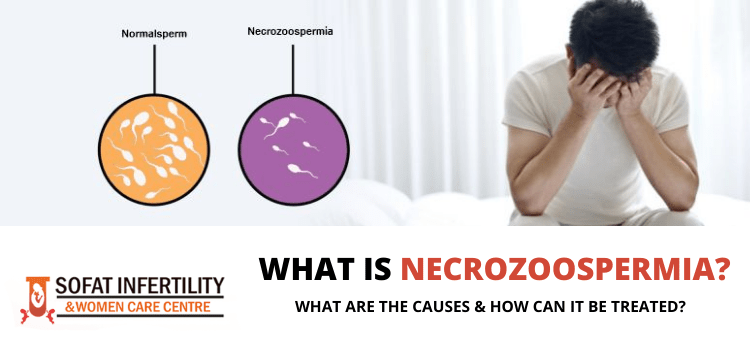WHAT IS NECROZOOSPERMIA? WHAT ARE THE CAUSES & HOW CAN IT BE TREATED?