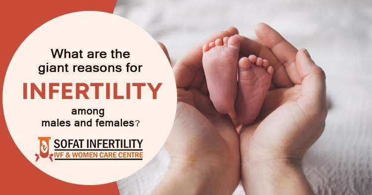 What are the giant reasons for infertility among males and females?