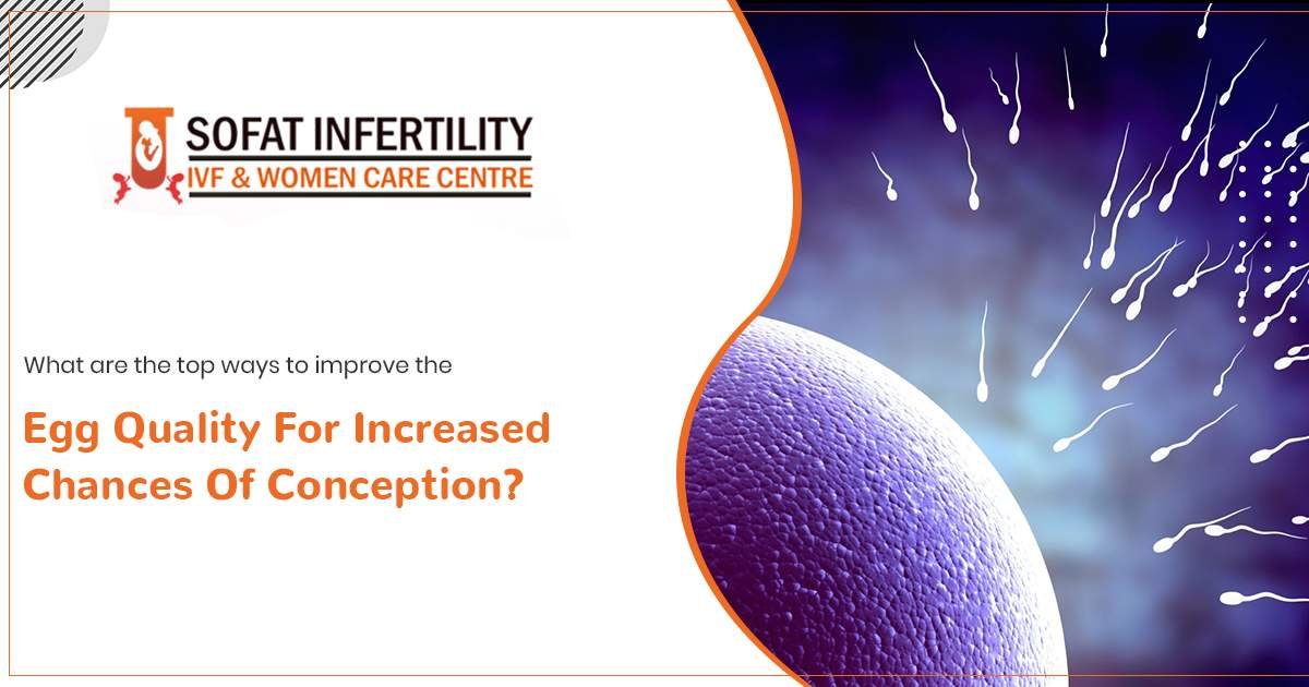 What are the top ways to improve the egg quality for increased chances of conception?