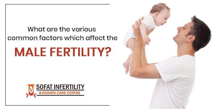 What are the various common factors which affect male fertility?