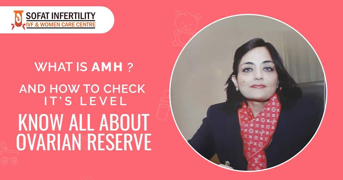 What is AMH and how to check AMH Level to get knowledge about Ovarian Reserve?