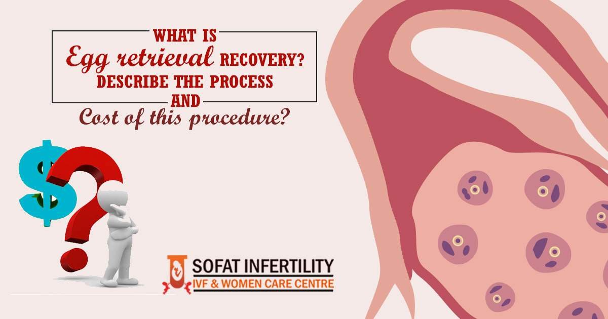 What is Egg retrieval Recovery? Describe the Process and Cost of this procedure?