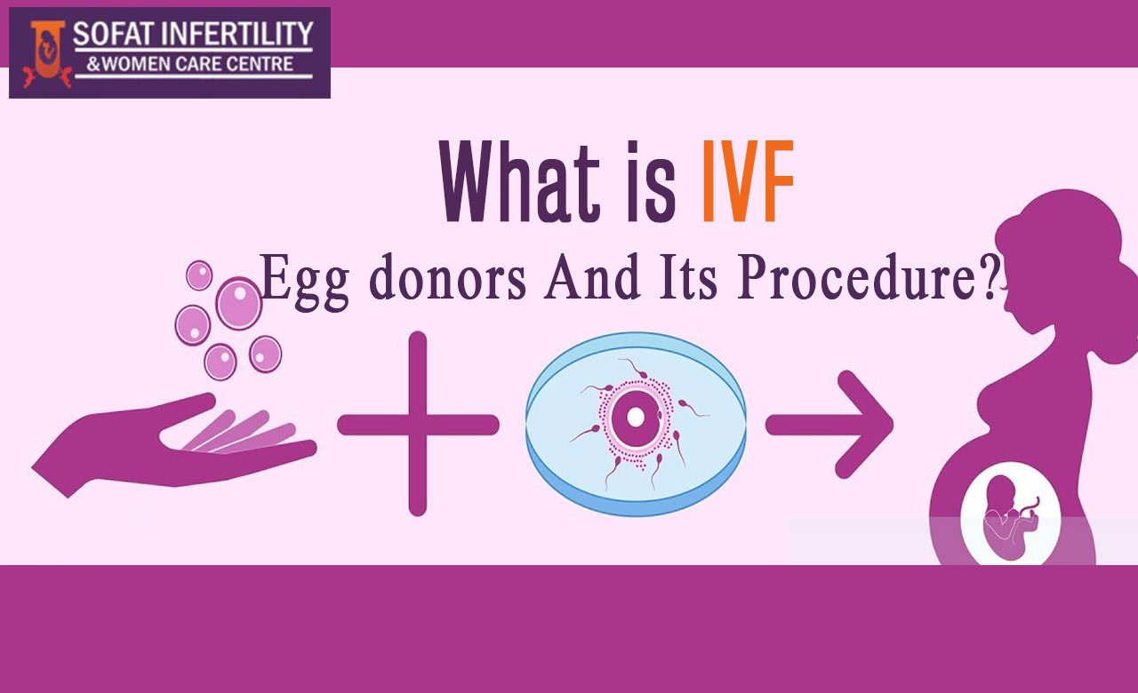 The Ultimate Guide to The Procedure For IVF with Egg Donation.