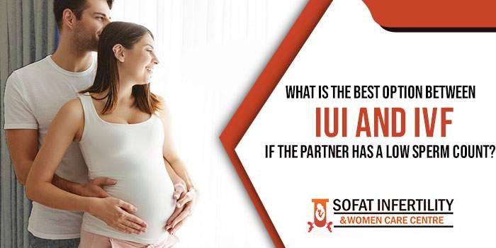 What is the best option between IUI and IVF if the partner has a low sperm count?