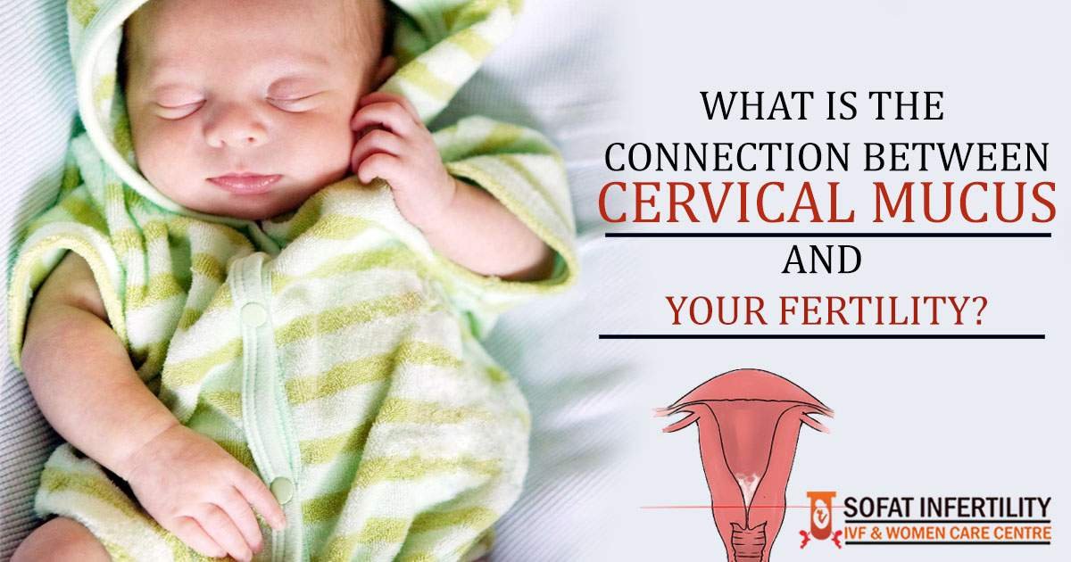 What is the connection between cervical mucus and your fertility?
