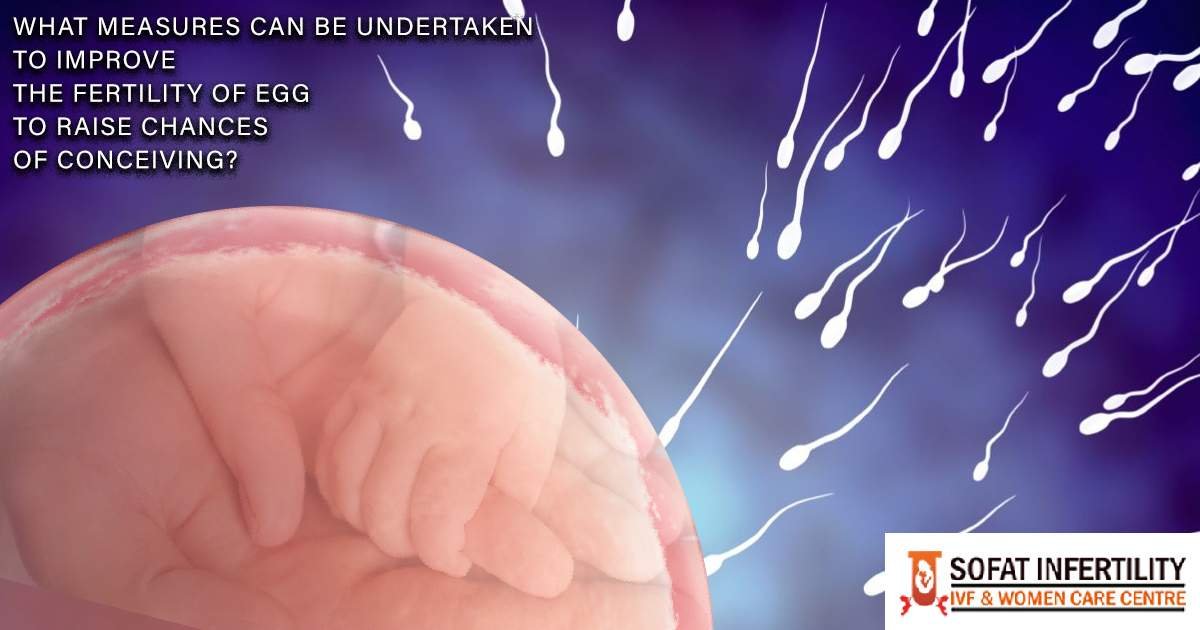What measures can be undertaken to improve the fertility of egg to raise chances of conceiving?