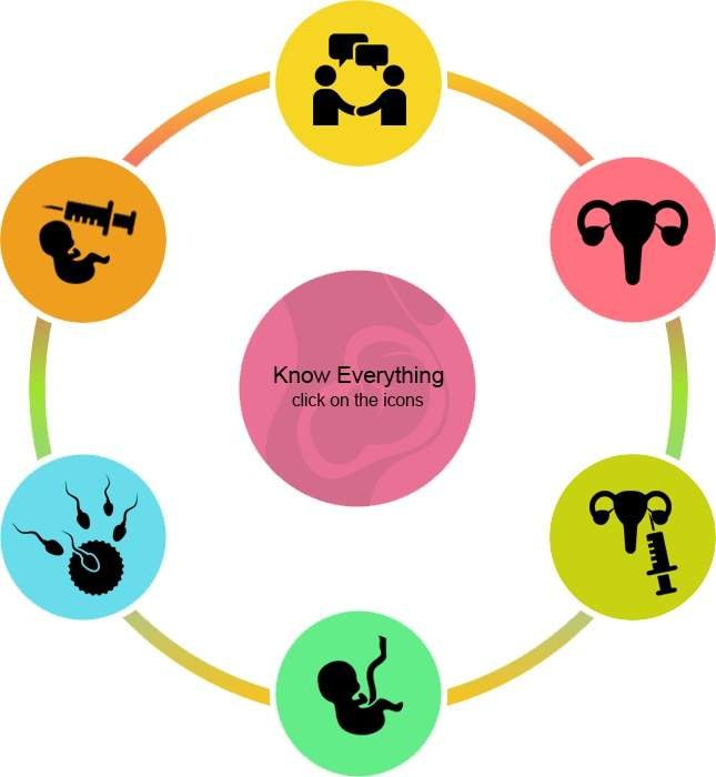 In Vitro Fertilization (IVF) and how successful it is