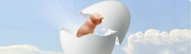 Women and Their Egg Quality