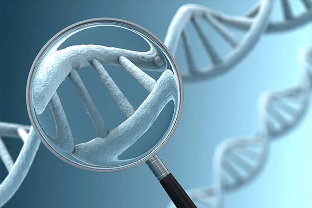 Cryopreservation - A Fertility Technique to Preserve the Embryo