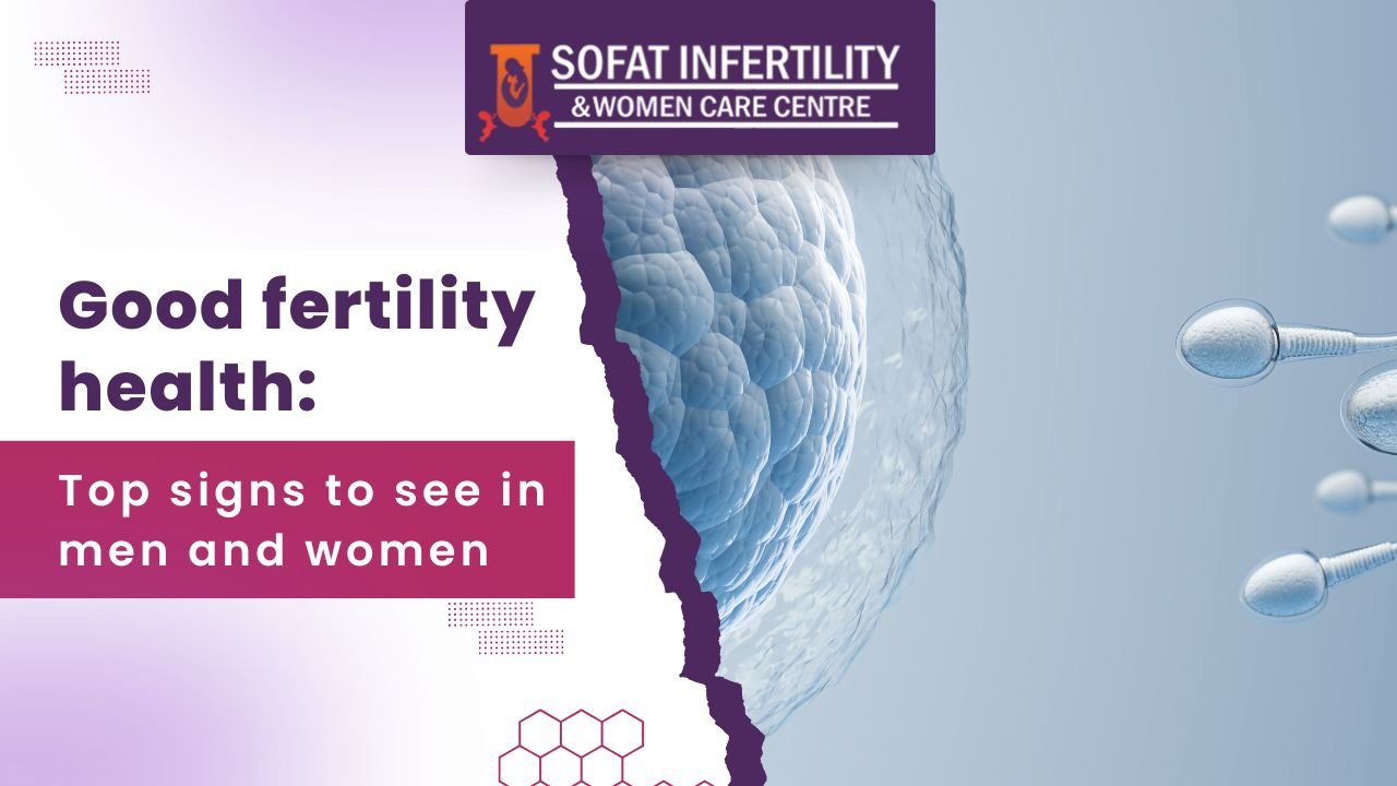 Good Fertility Health: Top Signs To See In Men And Women