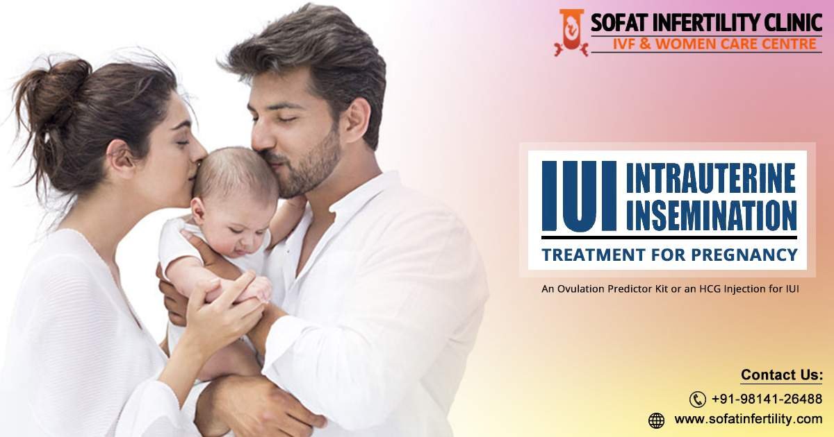 An Overview of IUI as an Infertility Treatment