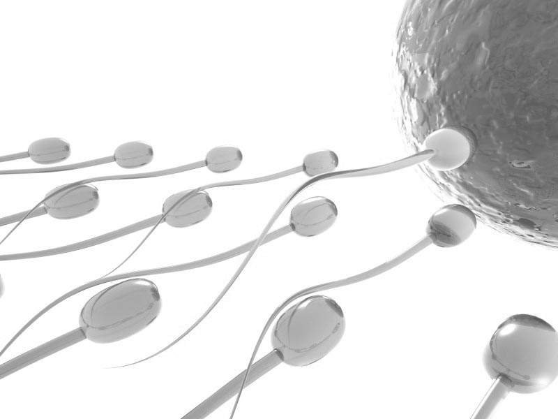 Asthenospermia Cure to Improve Your Sperm Count
