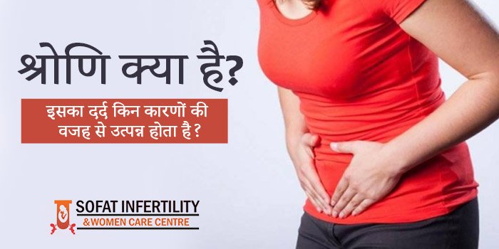 श्रोणि क्या है? पैल्विक दर्द किन कारणों की वजह से उत्पन्न होता है?