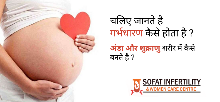 चलिए जानते है गर्भधारण कैसे होता है ? अंडा और शुक्राणु शरीर में कैसे बनते है ?