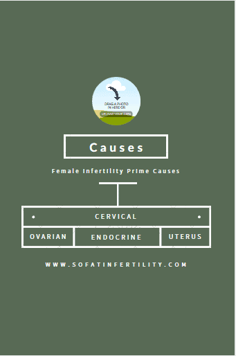 Key Reasons of Infertility in Females
